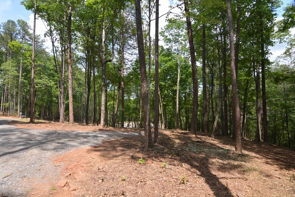 Lot 5 Murphy Hwy (Spur 60), Mineral Bluff GA 30559 - Photo