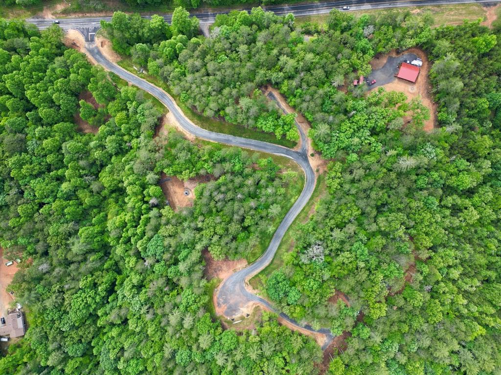 Lot 5 Murphy Hwy (Spur 60), Mineral Bluff GA 30559 - Photo