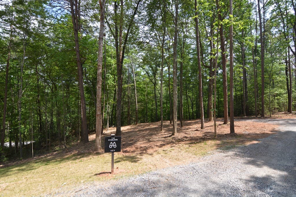 Lot 5 Murphy Hwy (Spur 60), Mineral Bluff GA 30559 - Photo