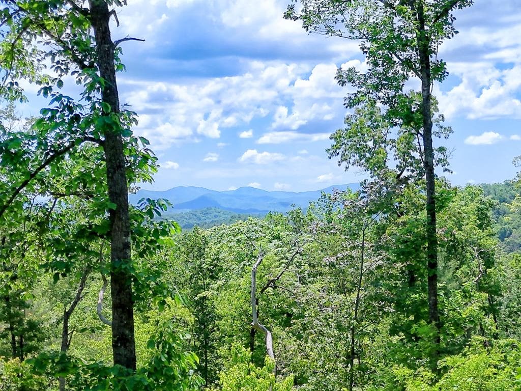 Lot 28 Bryson Creek, Murphy NC 28906 - Primary photo
