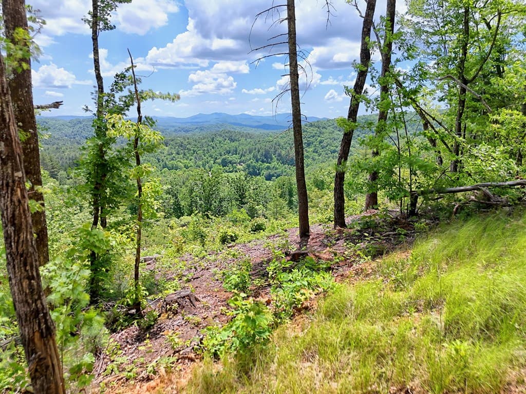 Lot 28 Bryson Creek, Murphy NC 28906 - Photo