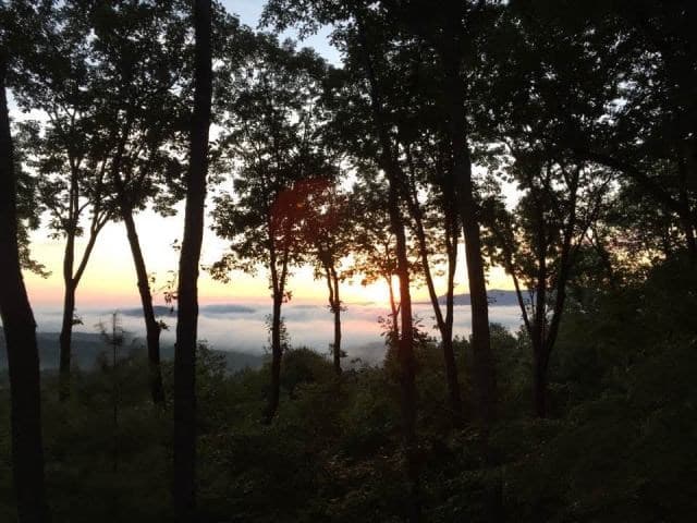 772 Double Knob Road, Ellijay GA 30540 - Photo
