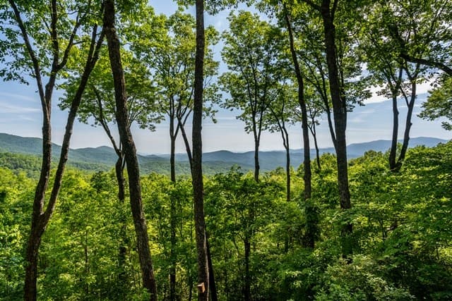 772 Double Knob Road, Ellijay GA 30540 - Photo