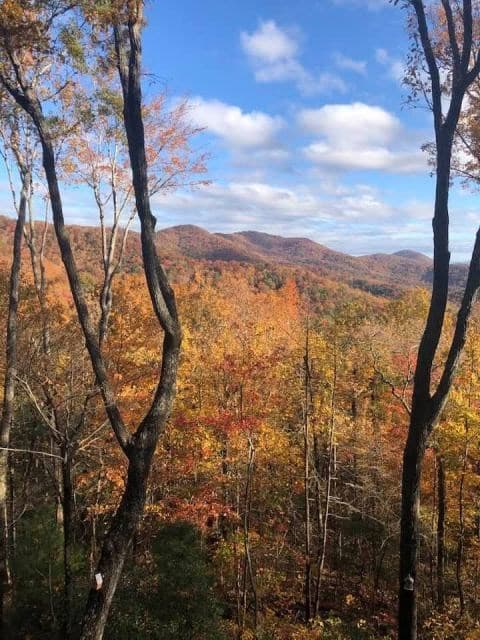 772 Double Knob Road, Ellijay GA 30540 - Photo