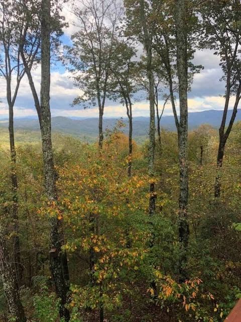 772 Double Knob Road, Ellijay GA 30540 - Photo