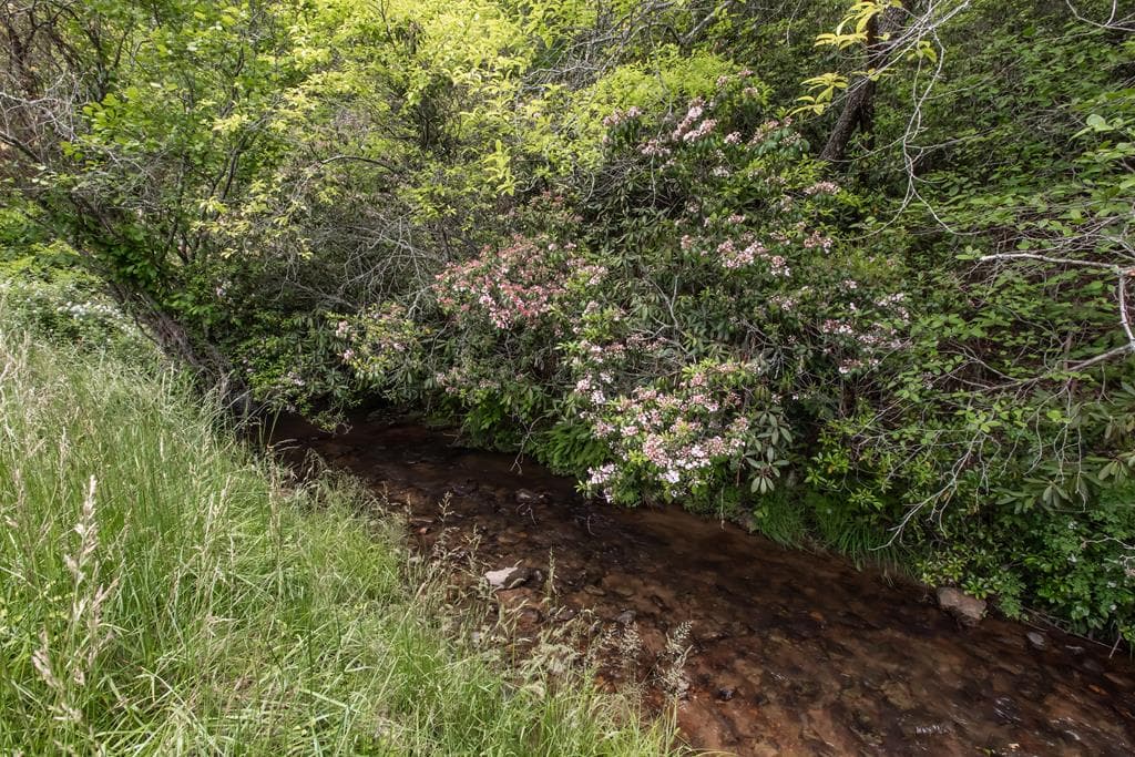 328 Black Ankle Creek Road, Cherry Log GA 30522 - Photo