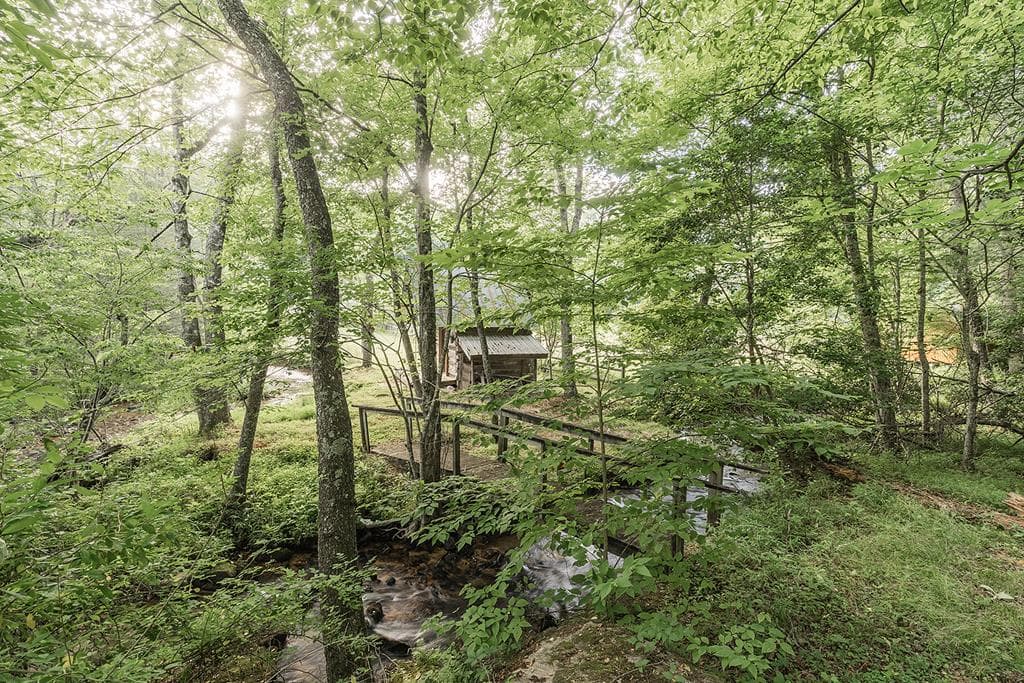 328 Black Ankle Creek Road, Cherry Log GA 30522 - Photo
