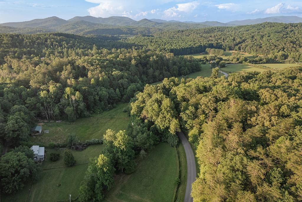328 Black Ankle Creek Road, Cherry Log GA 30522 - Photo