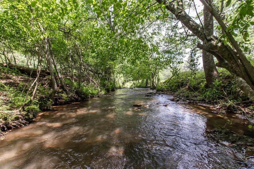 328 Black Ankle Creek Road, Cherry Log GA 30522 - Photo
