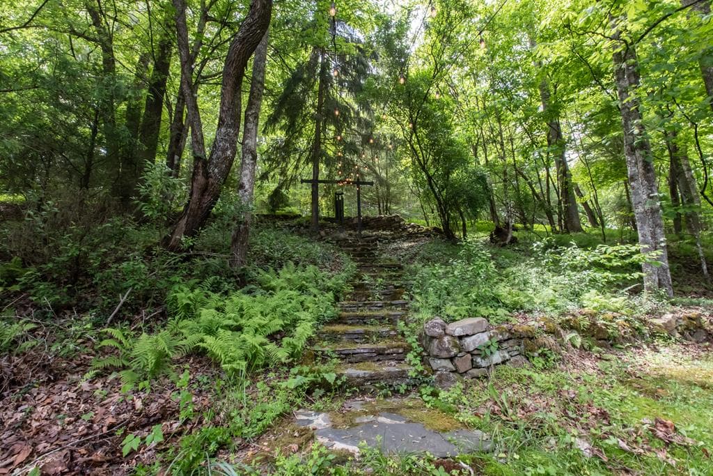 328 Black Ankle Creek Road, Cherry Log GA 30522 - Photo