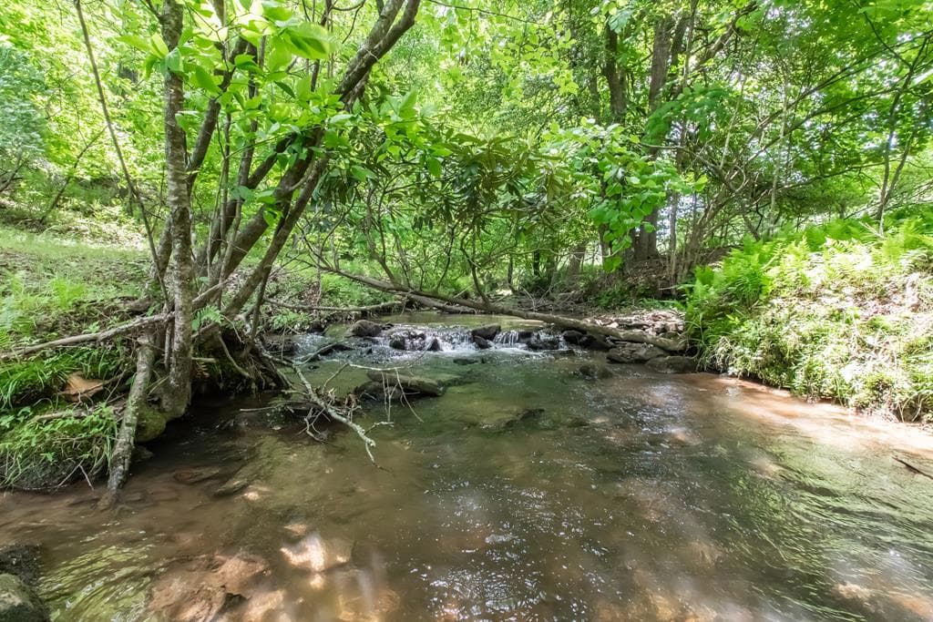 328 Black Ankle Creek Road, Cherry Log GA 30522 - Photo