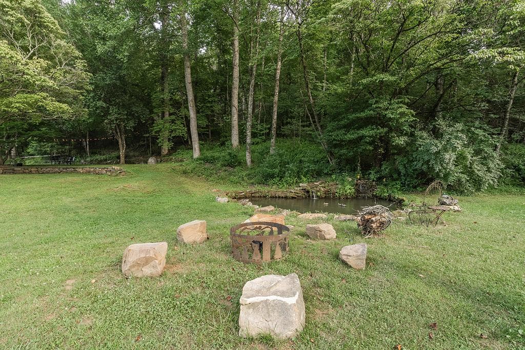 328 Black Ankle Creek Road, Cherry Log GA 30522 - Photo