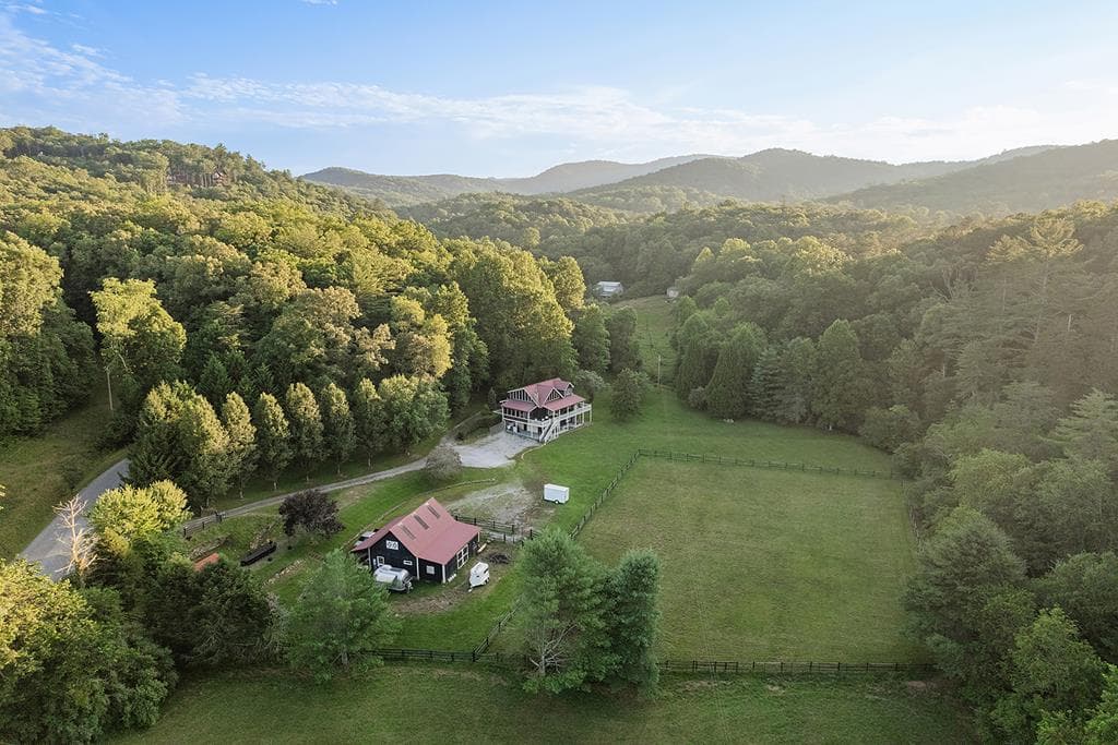 328 Black Ankle Creek Road, Cherry Log GA 30522 - Primary photo