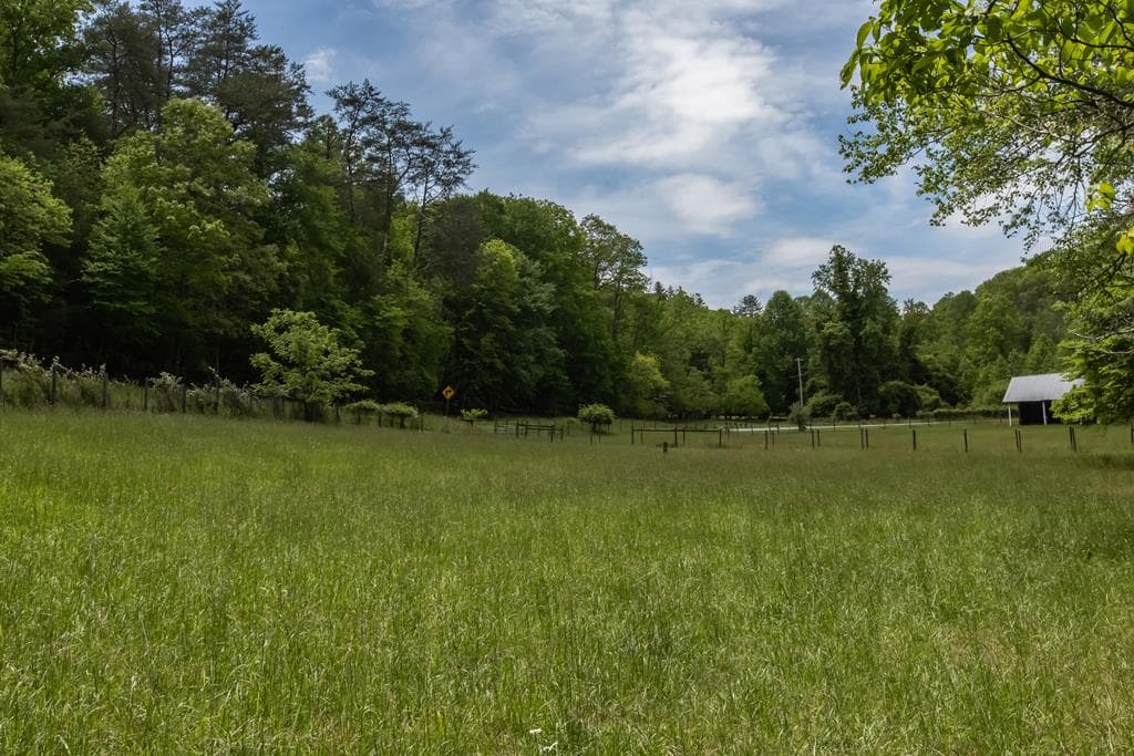 328 Black Ankle Creek Road, Cherry Log GA 30522 - Photo