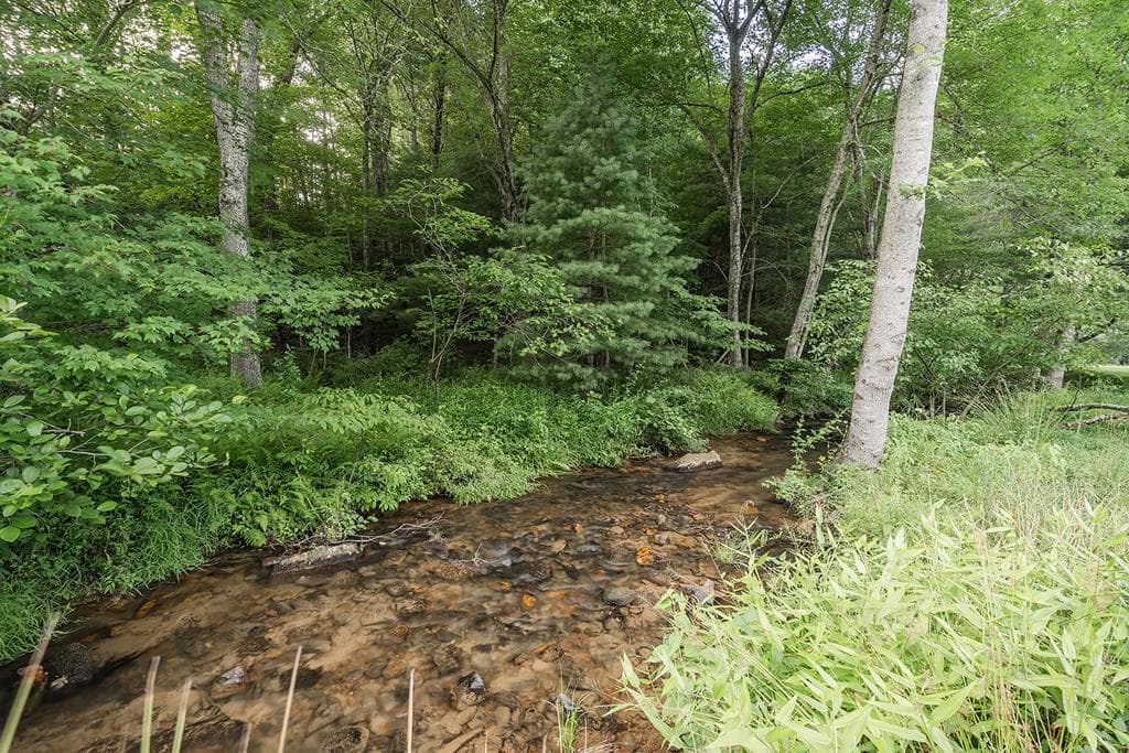 328 Black Ankle Creek Road, Cherry Log GA 30522 - Photo