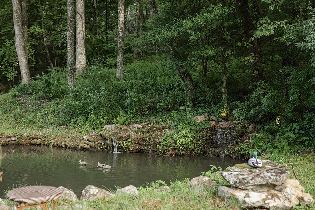 328 Black Ankle Creek Road, Cherry Log GA 30522 - Photo