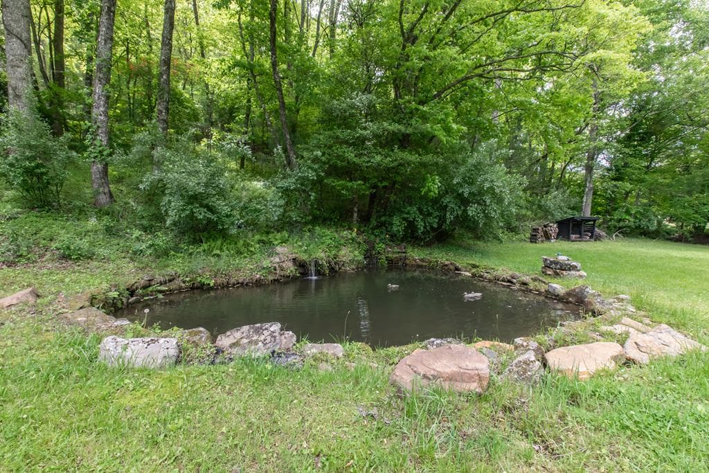 328 Black Ankle Creek Road, Cherry Log GA 30522 - Photo