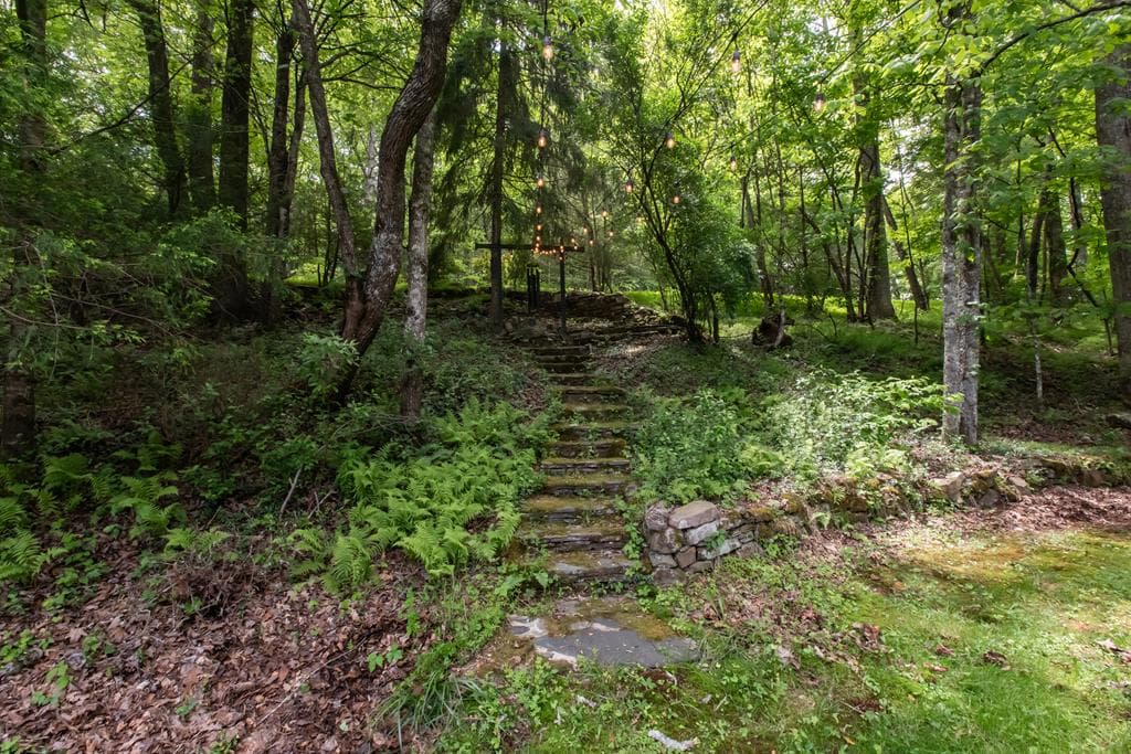 328 Black Ankle Creek Road, Cherry Log GA 30522 - Photo