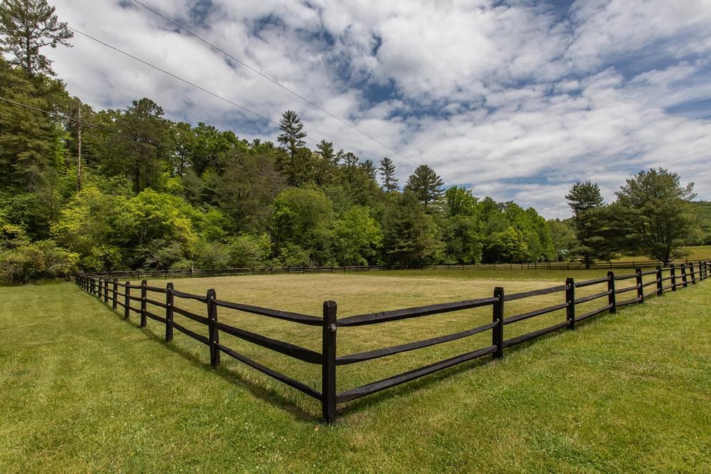 328 Black Ankle Creek Road, Cherry Log GA 30522 - Photo