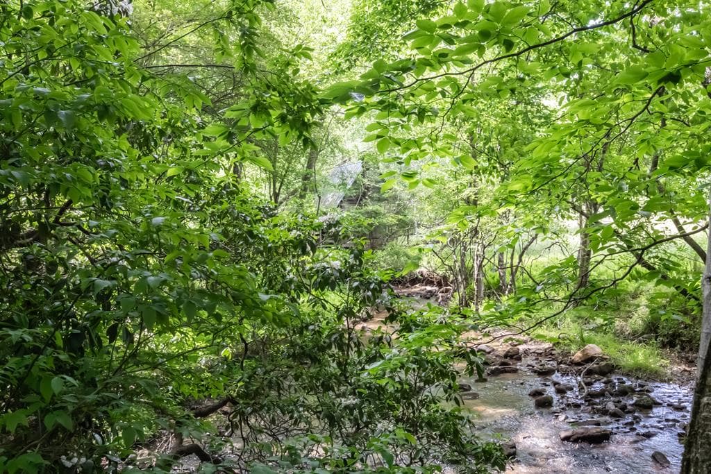 328 Black Ankle Creek Road, Cherry Log GA 30522 - Photo