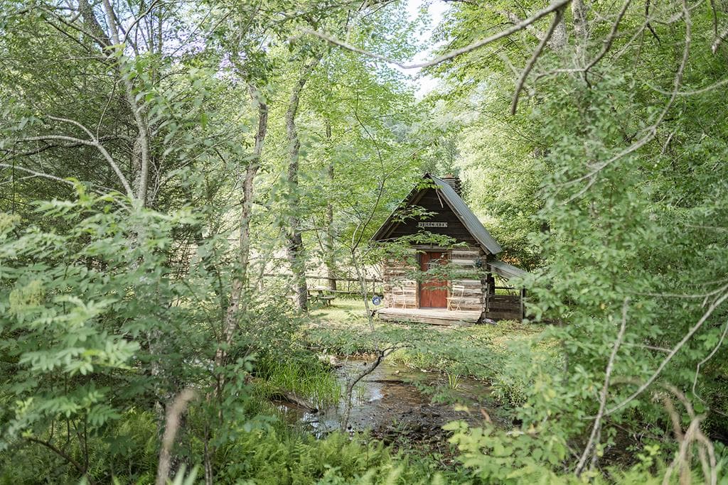 328 Black Ankle Creek Road, Cherry Log GA 30522 - Photo
