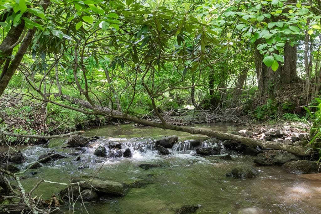 328 Black Ankle Creek Road, Cherry Log GA 30522 - Photo