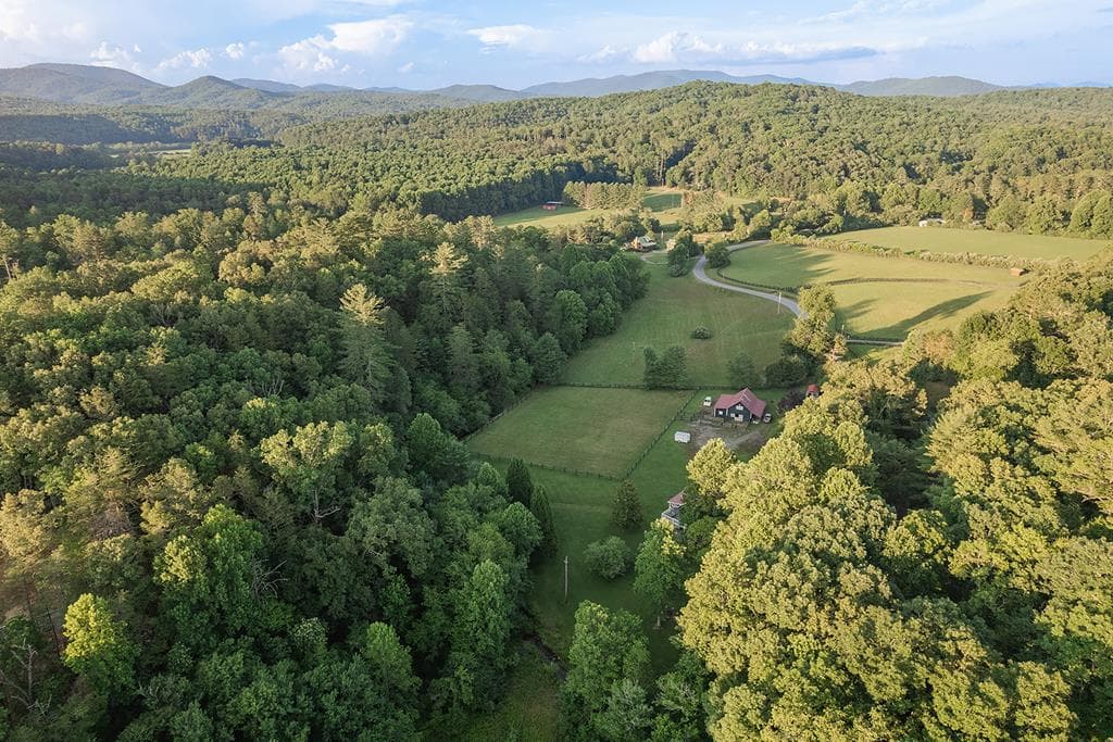 328 Black Ankle Creek Road, Cherry Log GA 30522 - Photo