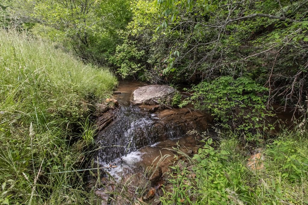 328 Black Ankle Creek Road, Cherry Log GA 30522 - Photo