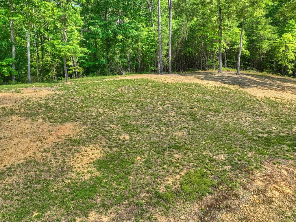 2113 Turniptown Road, Ellijay GA 30536 - Photo