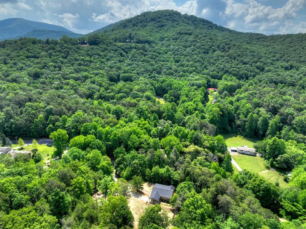 2113 Turniptown Road, Ellijay GA 30536 - Photo