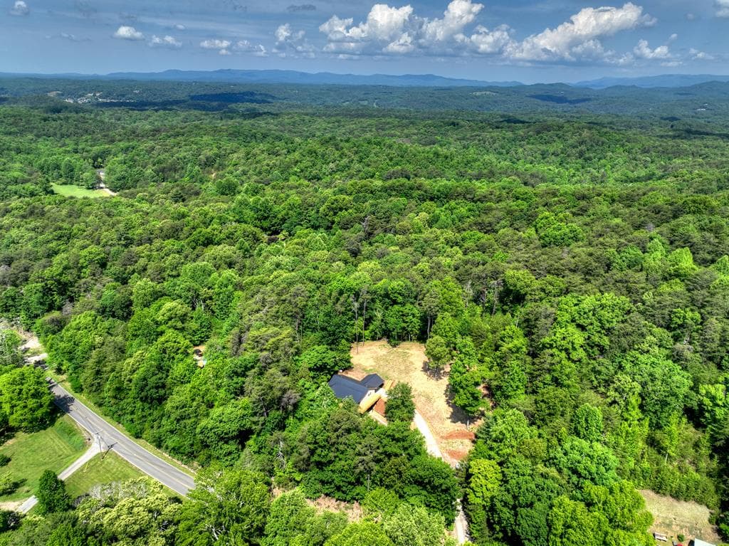 2113 Turniptown Road, Ellijay GA 30536 - Photo