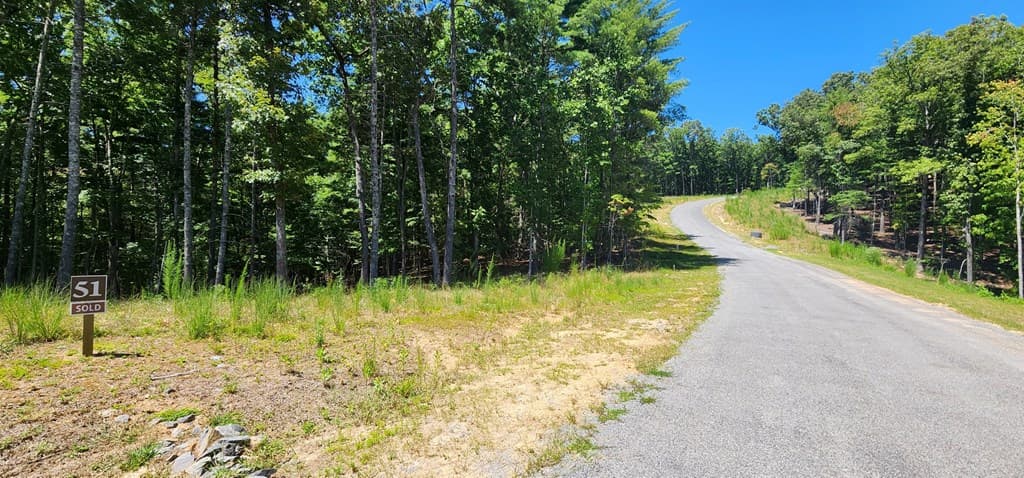 Lot 51 Ridge Drive, Morganton GA 30560 - Photo