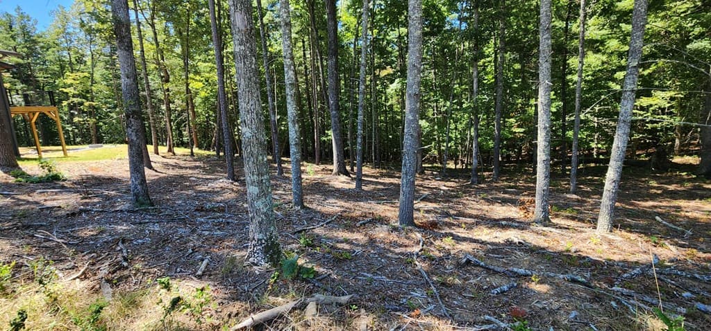 Lot 51 Ridge Drive, Morganton GA 30560 - Photo