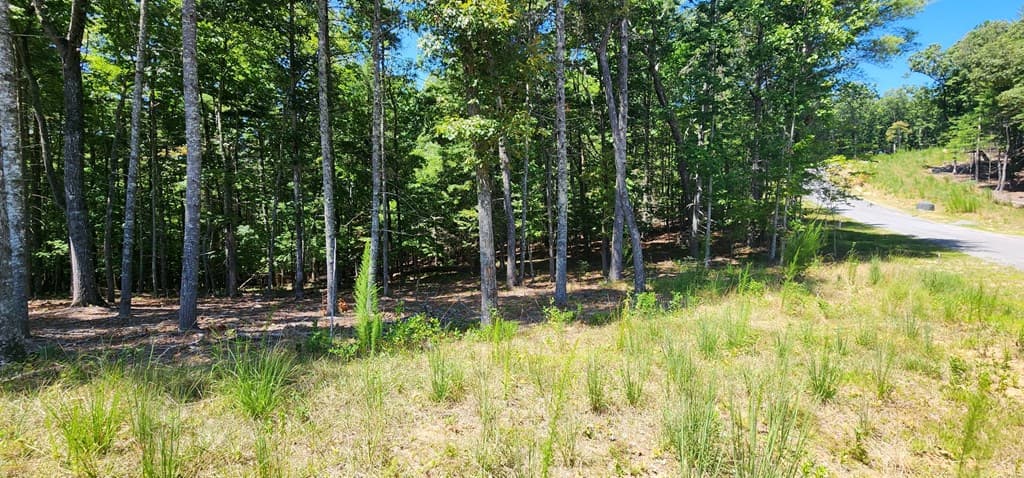 Lot 51 Ridge Drive, Morganton GA 30560 - Photo