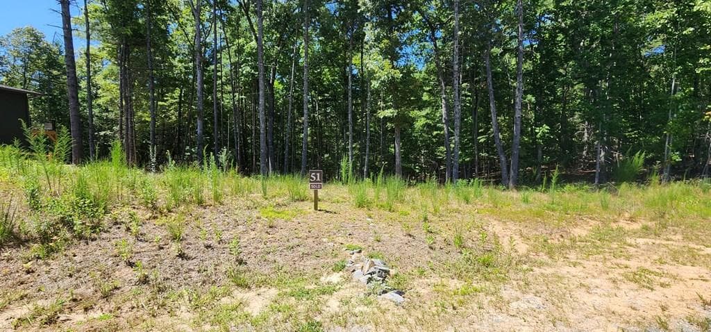 Lot 51 Ridge Drive, Morganton GA 30560 - Primary photo