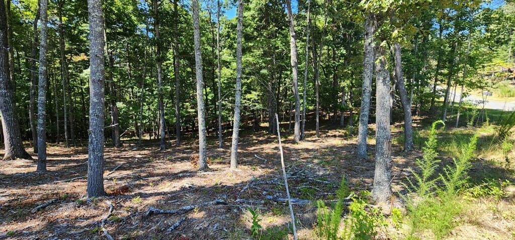 Lot 51 Ridge Drive, Morganton GA 30560 - Photo