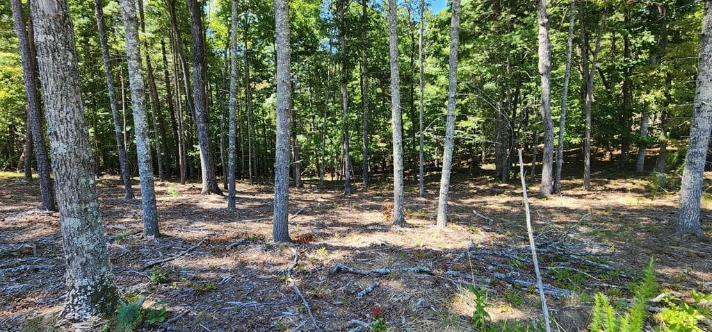 Lot 51 Ridge Drive, Morganton GA 30560 - Photo