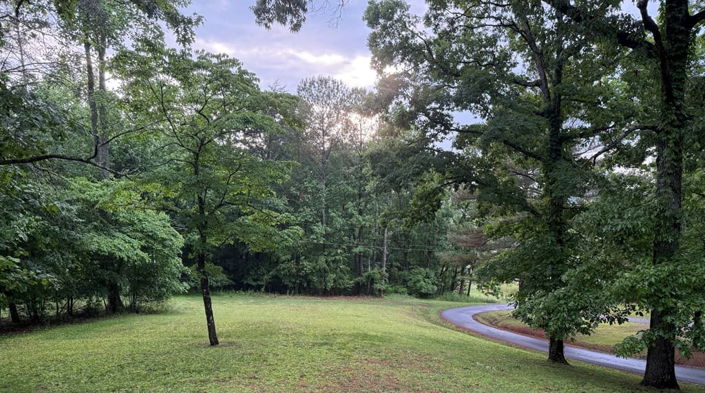 134 Acorn Lane, Warne NC 28909 - Photo