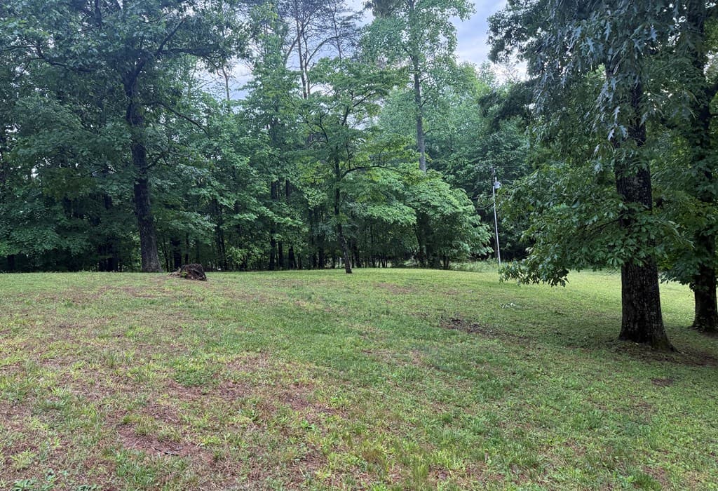 134 Acorn Lane, Warne NC 28909 - Photo