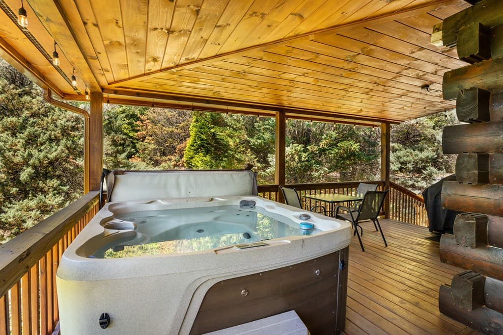 229 Old Mill Pond Road, Mineral Bluff GA 30559 - Photo