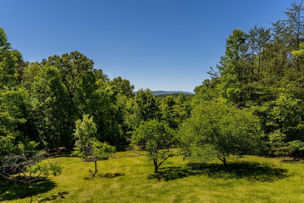 229 Old Mill Pond Road, Mineral Bluff GA 30559 - Photo