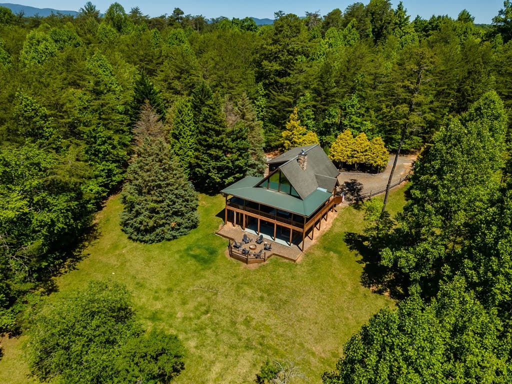 229 Old Mill Pond Road, Mineral Bluff GA 30559 - Photo