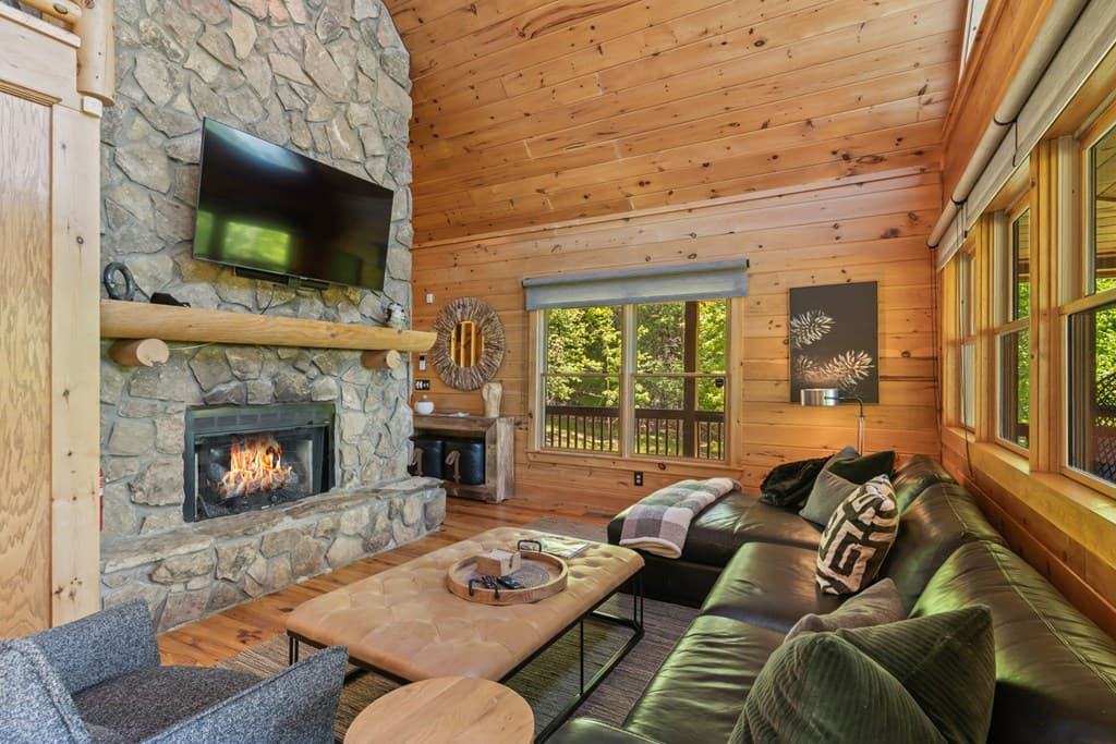 229 Old Mill Pond Road, Mineral Bluff GA 30559 - Photo
