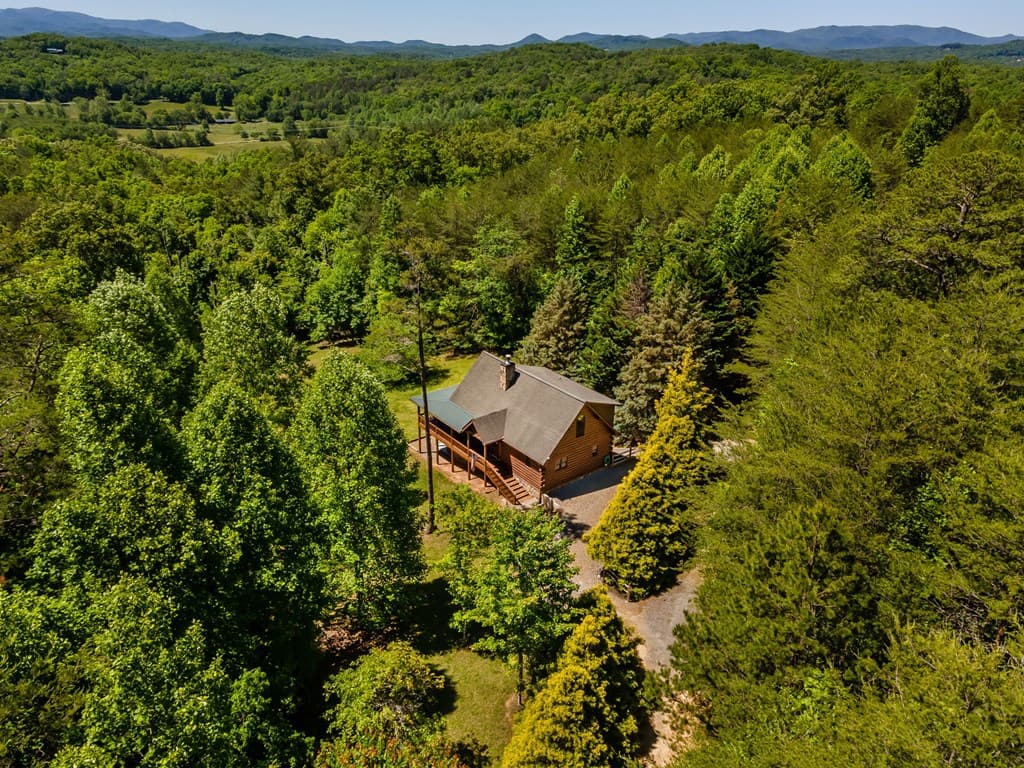 229 Old Mill Pond Road, Mineral Bluff GA 30559 - Photo