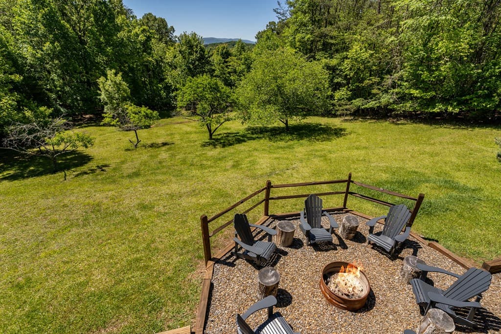 229 Old Mill Pond Road, Mineral Bluff GA 30559 - Photo