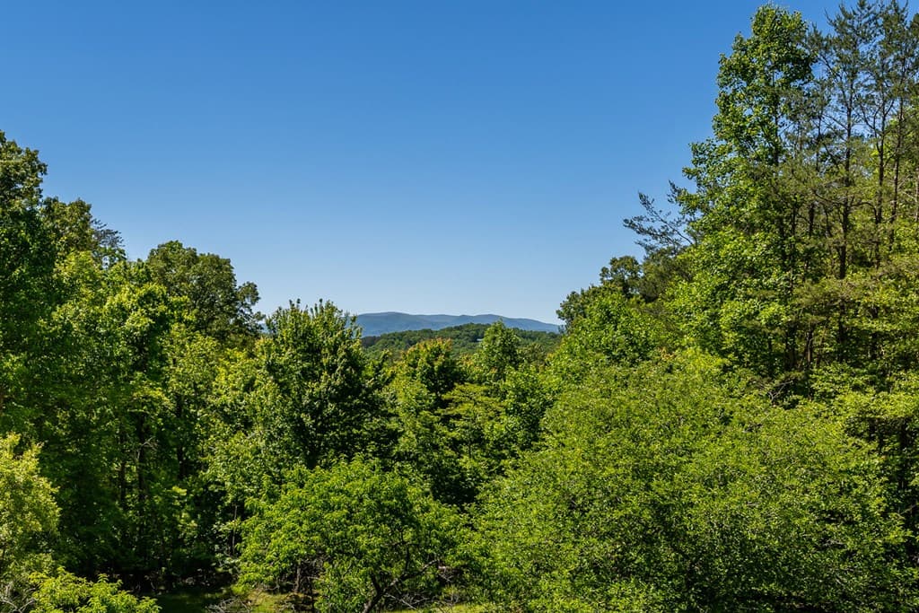229 Old Mill Pond Road, Mineral Bluff GA 30559 - Photo