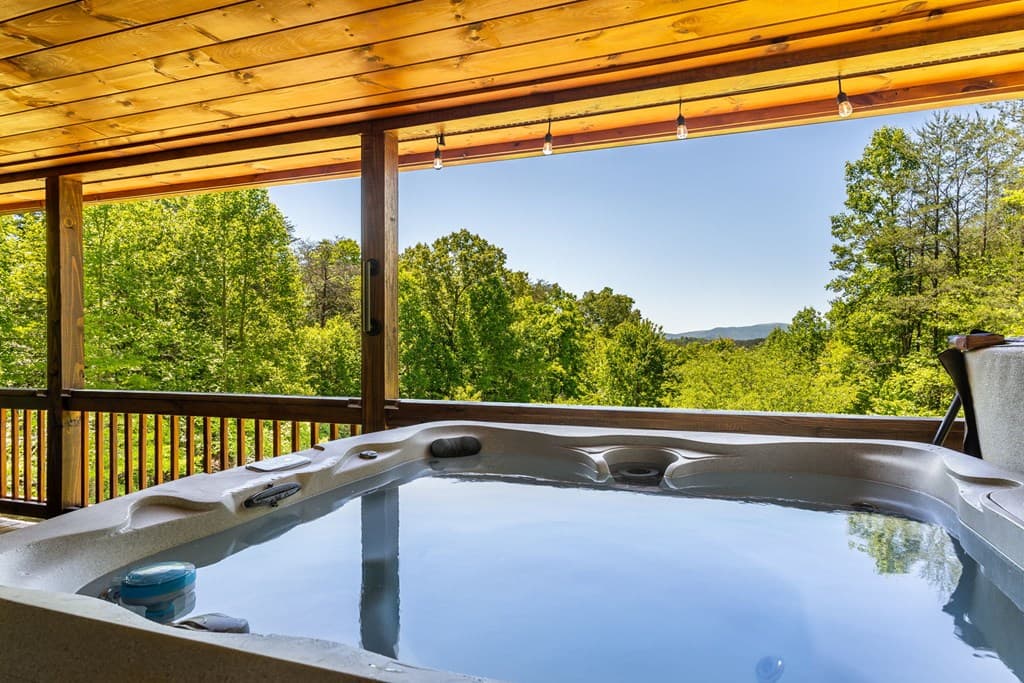 229 Old Mill Pond Road, Mineral Bluff GA 30559 - Photo