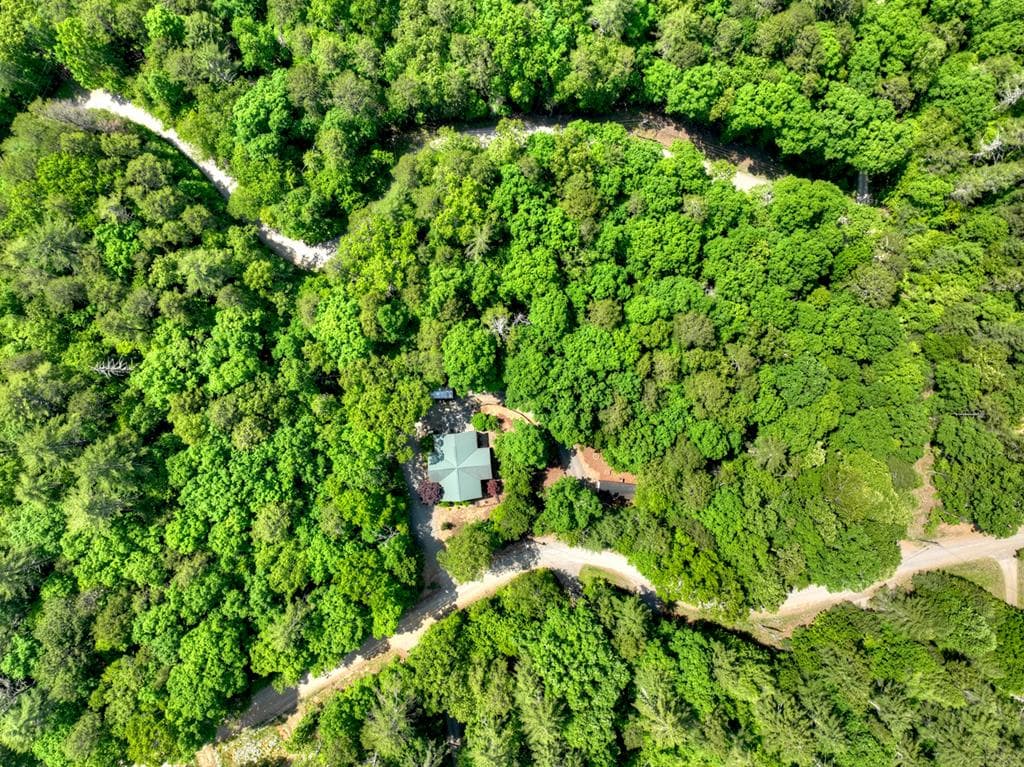 141 Gallery Court, Ellijay GA 30540 - Photo