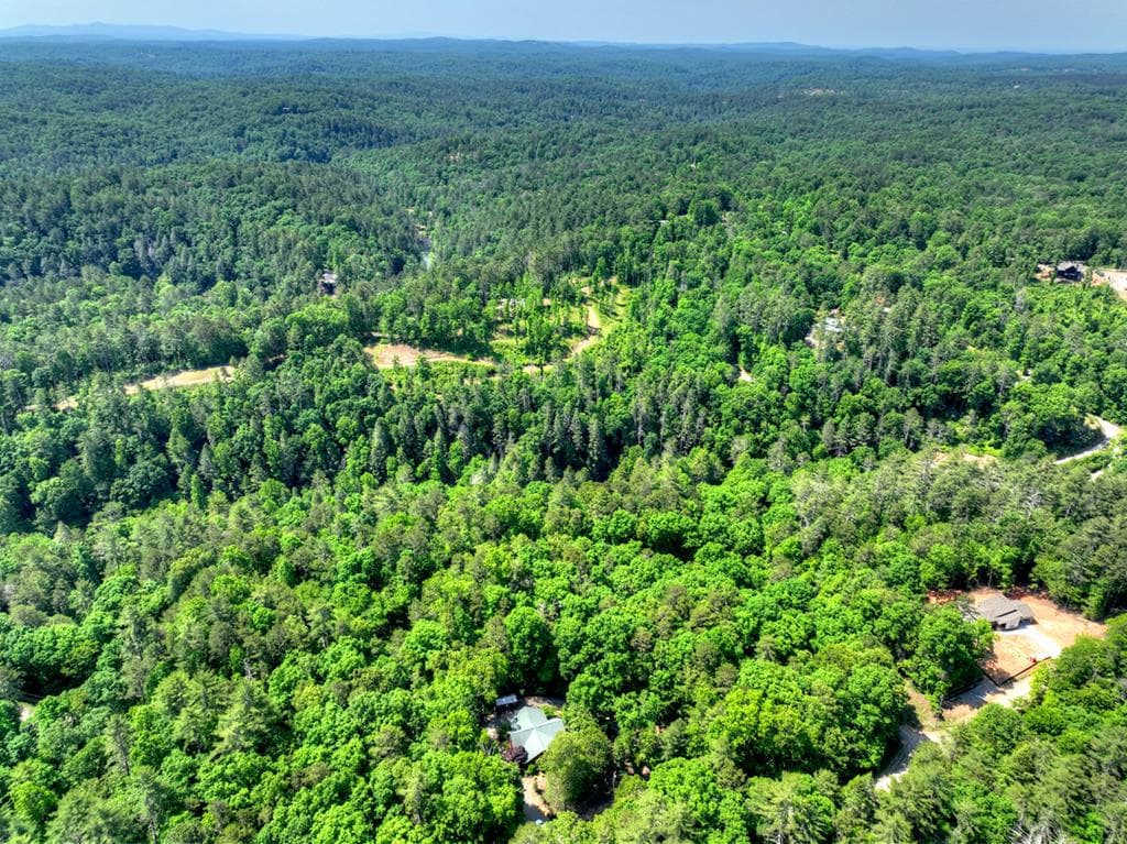 141 Gallery Court, Ellijay GA 30540 - Photo