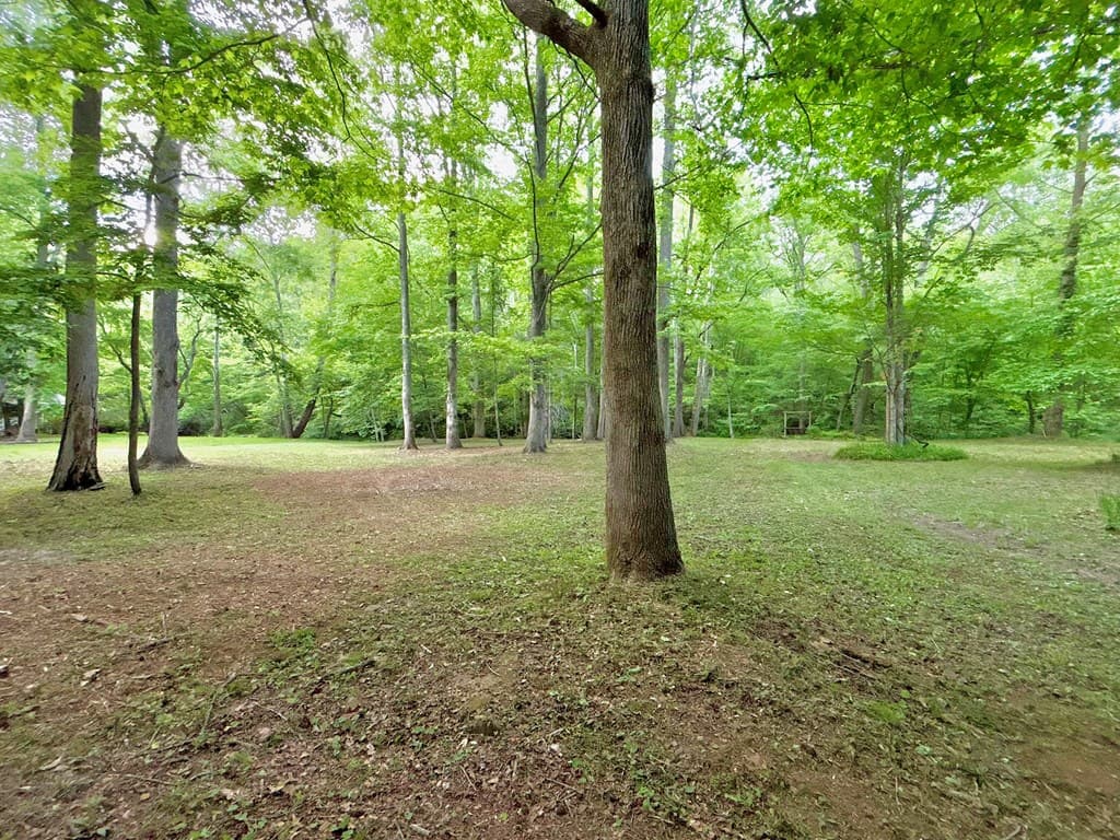 Lot 5 Spiva Cove, Blairsville GA 30512 - Photo